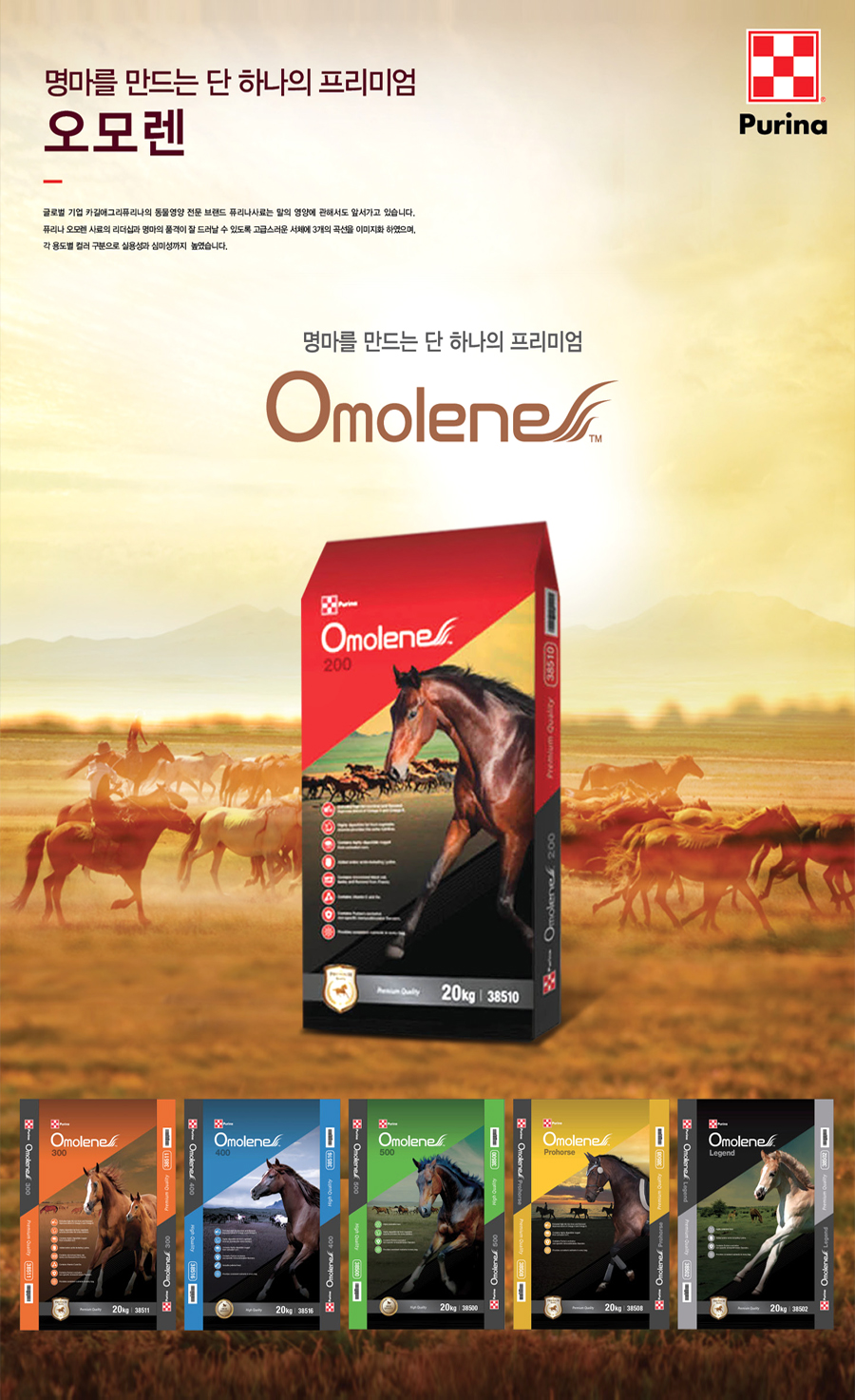 Omolene 아이덴티티 디자인 - 브랜딩 포트폴리오