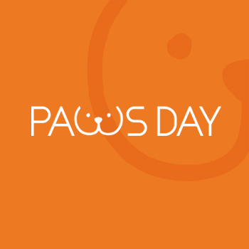 PAWS DAY 아이덴티티 디자인 - 브랜딩 포트폴리오