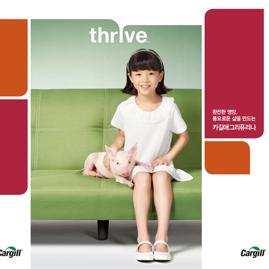 카길애그리퓨리나 thrive 브로슈어 - 인쇄제작물 포트폴리오