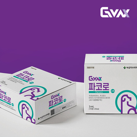 GVAX 파코로 패키지 디자인 - 패키지 포트폴리오